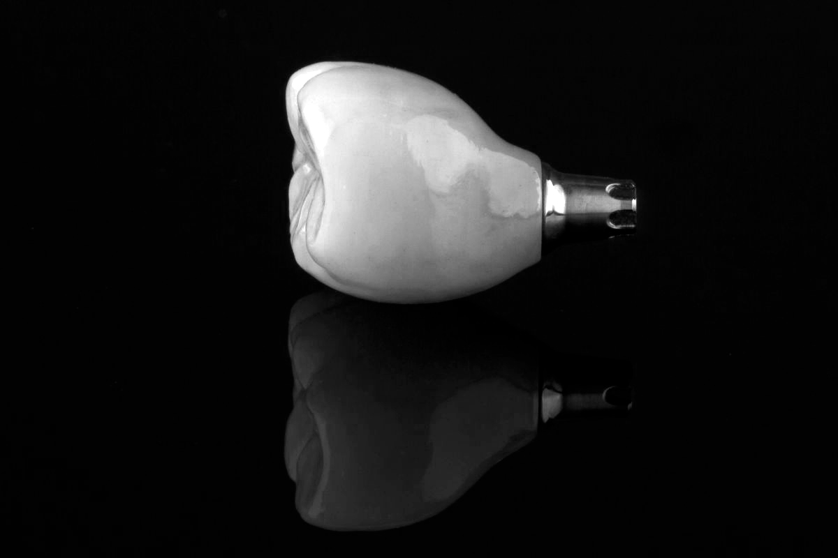 AudioBlog,musculatura facial